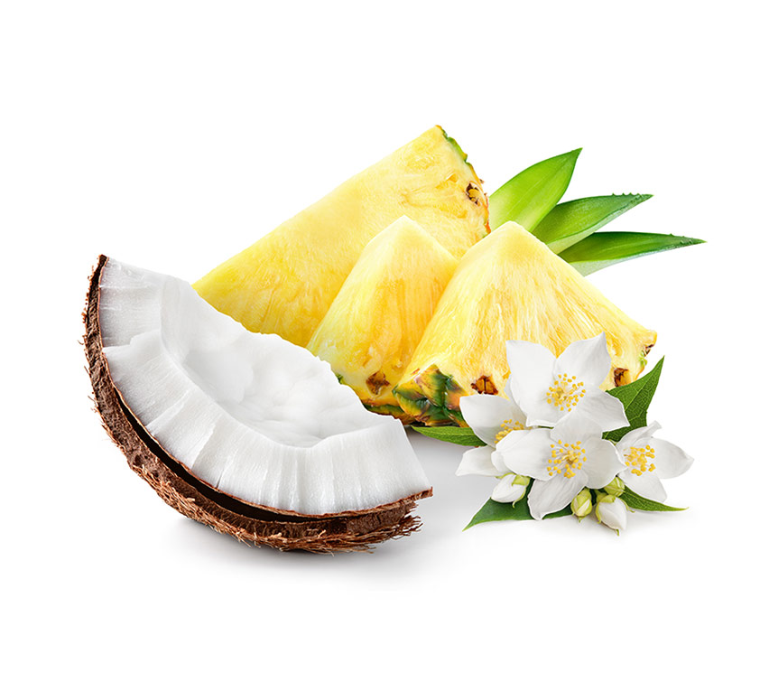 Tropical Coconut Scent